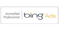 Bing Ads Professional